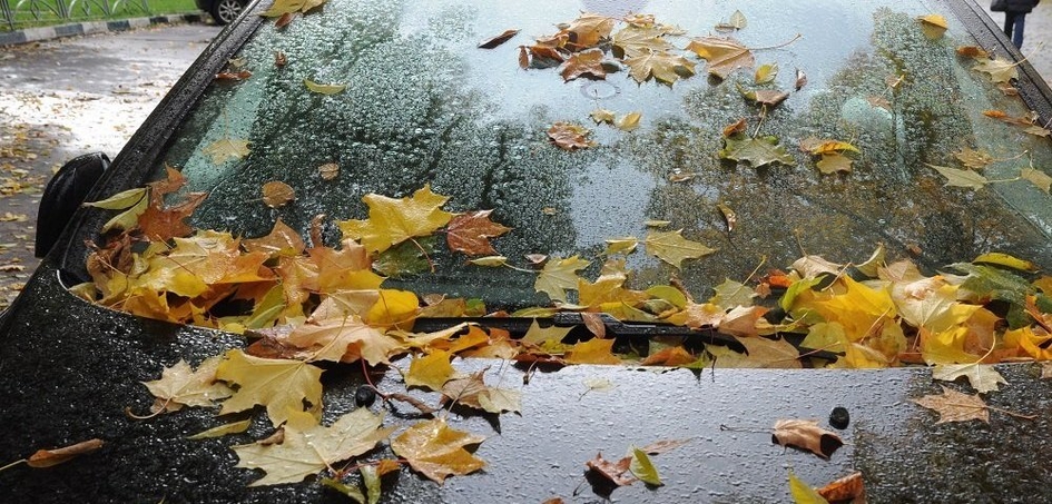 Как защитить автомобиль от дождя