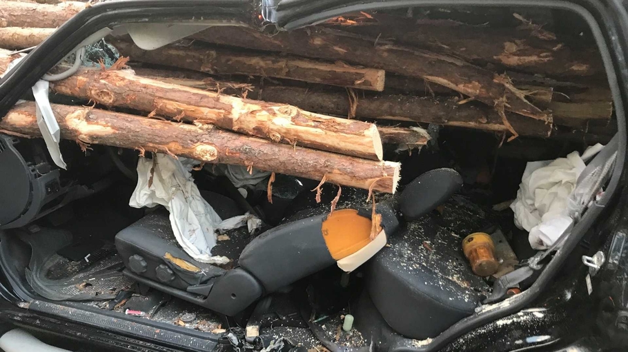 Водитель выжил после столкновения с лесовозом