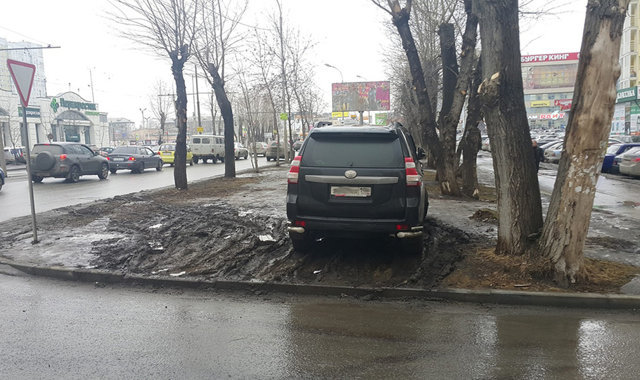 За парковку на газоне в Петербурге предлагают штрафовать на 500 000 рублей