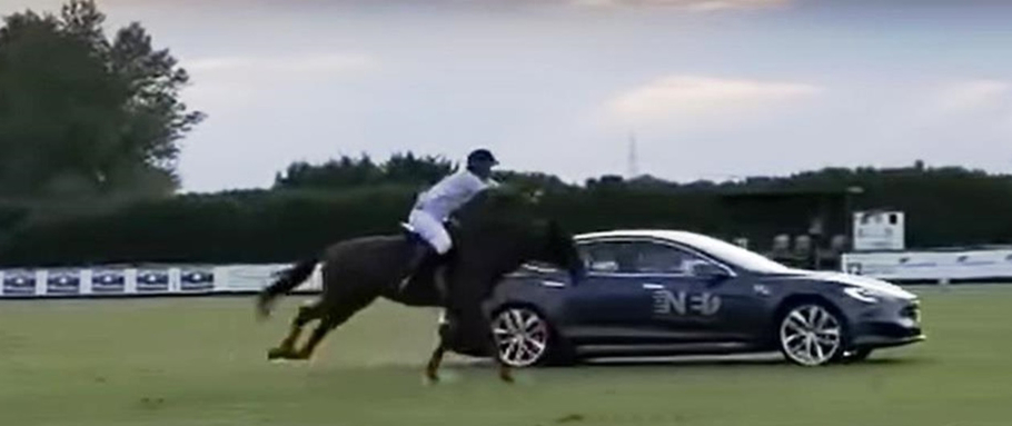 Tesla Model S сразилась с лошадью