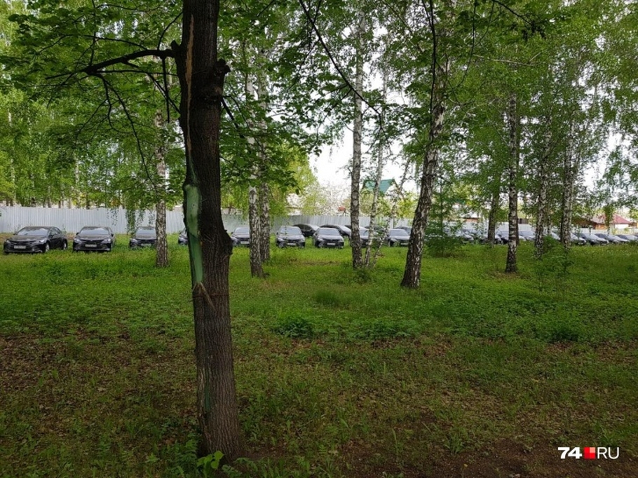 Из леса в бой найденные под Челябинском Toyota Camry отправят на борьбу с коронавирусом