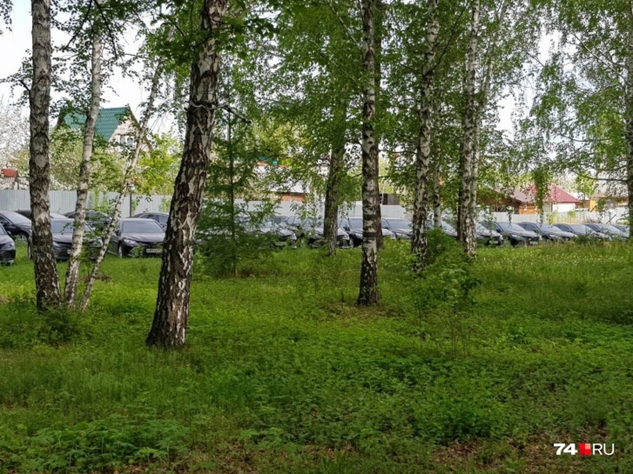 В лесу под Челябинском нашли 50 новеньких Toyota Camry