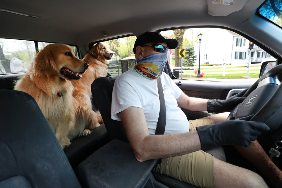 Собаки благотворно влияют на манеру вождения