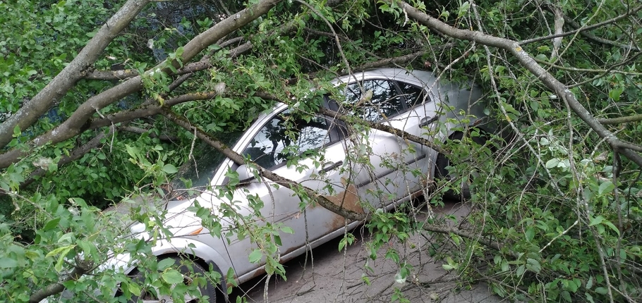 По Петербургу прошлась непогода деревья попадали на автомобили