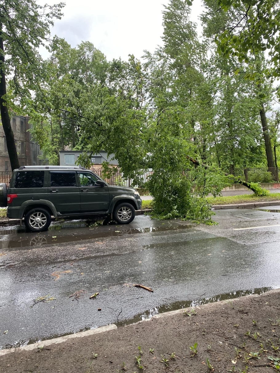 По Петербургу прошлась непогода деревья попадали на автомобили