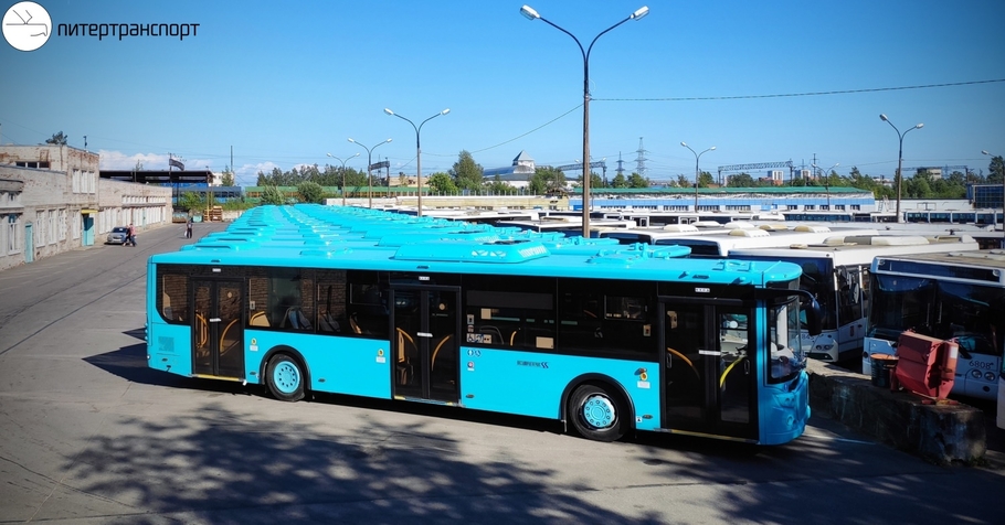 На автобусные маршруты Петербурга выезжают новые современные машины