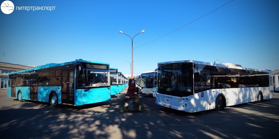 На автобусные маршруты Петербурга выезжают новые современные машины
