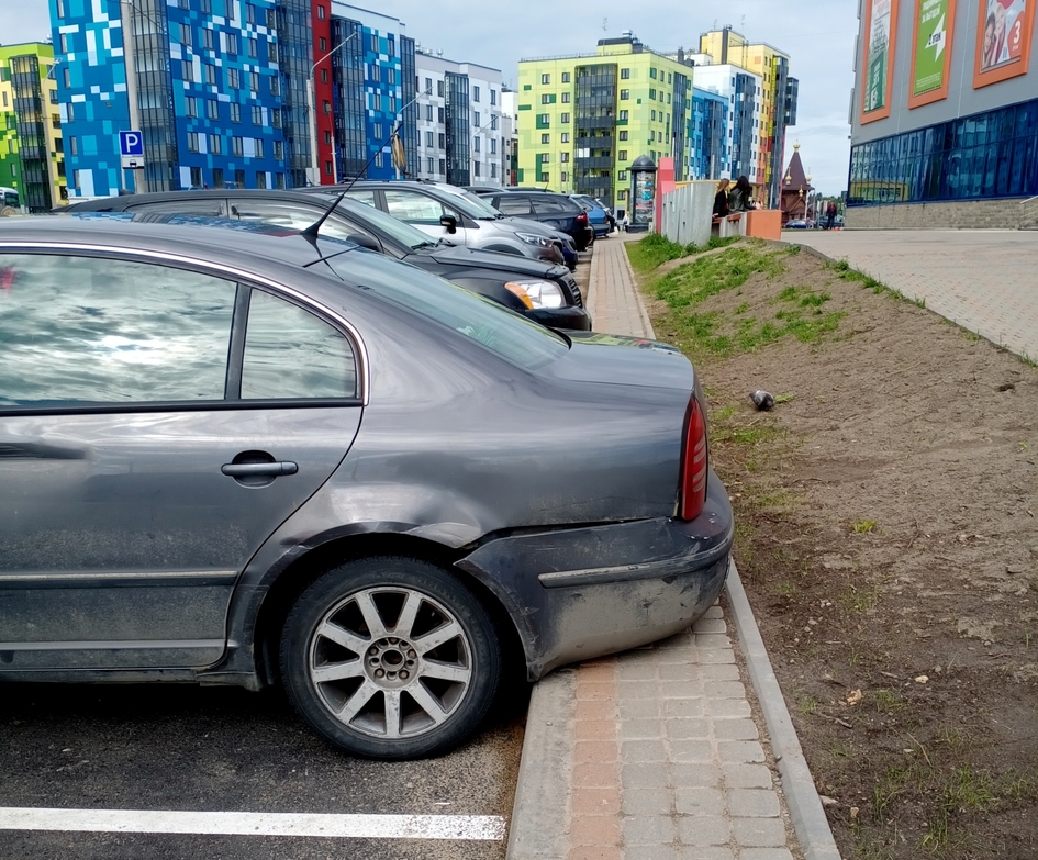 Ситуация на парковке: обойти по газону или долбануть по кузову?