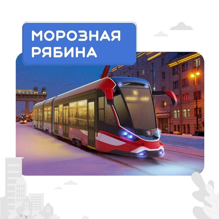 Сверхлегкий алюминиевый трамвай Витязь Ленинград может иметь оттенок Теплой осени или Морозной рябины