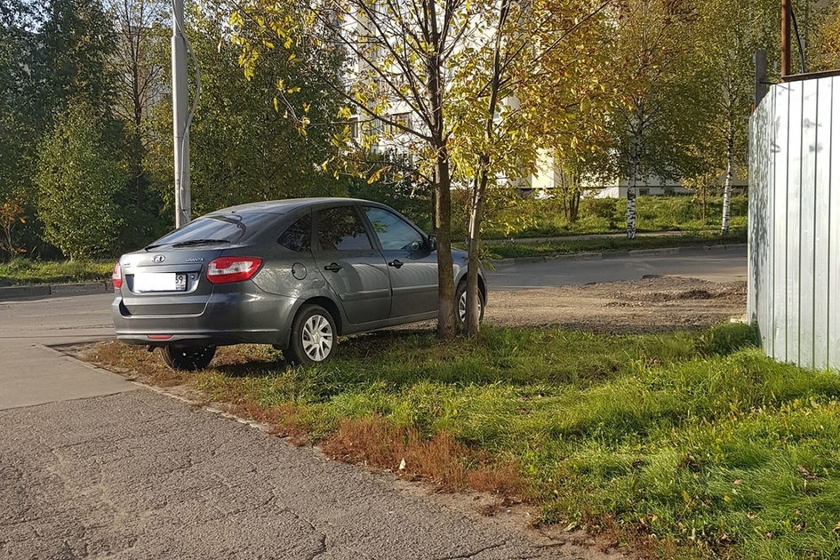 Минюст предлагает ввести единый для России штраф за парковку на газоне