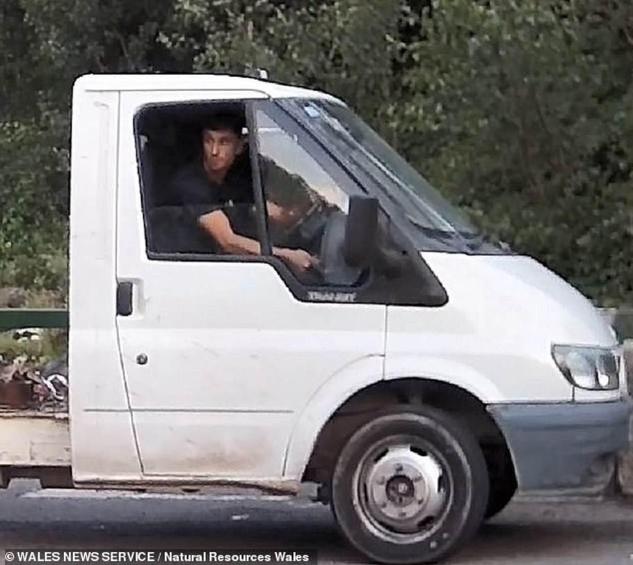 Худший водитель мусоровоза в Великобритании видео