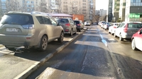В Петербурге появится новая парковочная полиция 