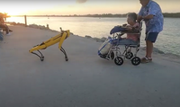 Женщина гуляет по улице с собакой роботом — реакция людей