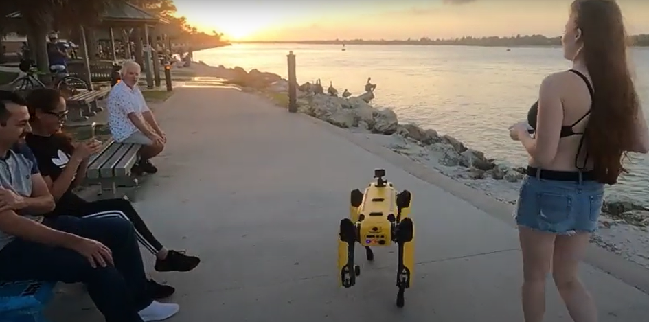 Женщина гуляет по улице с собакой-роботом — реакция людей